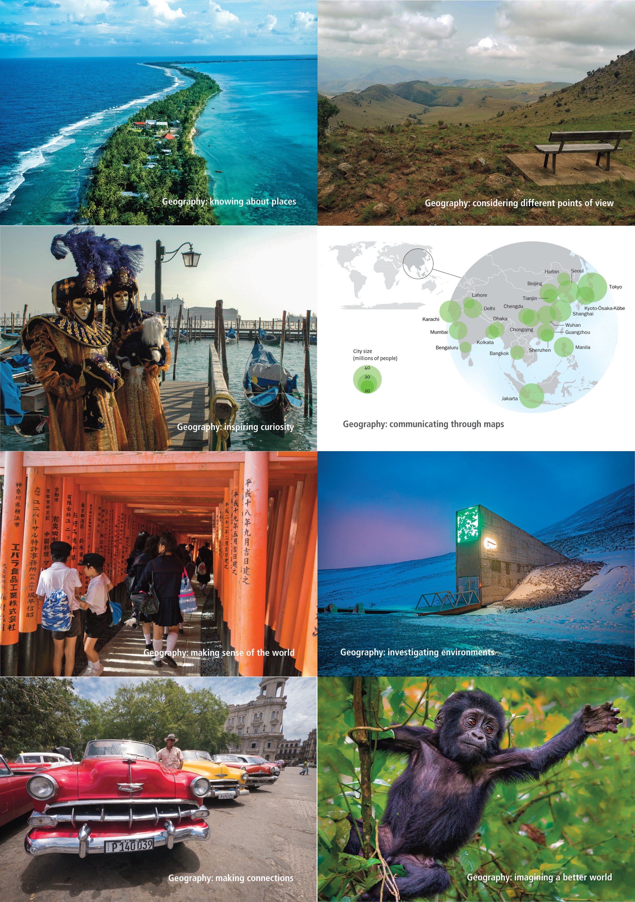 Postcards: pack of 96 (2025)